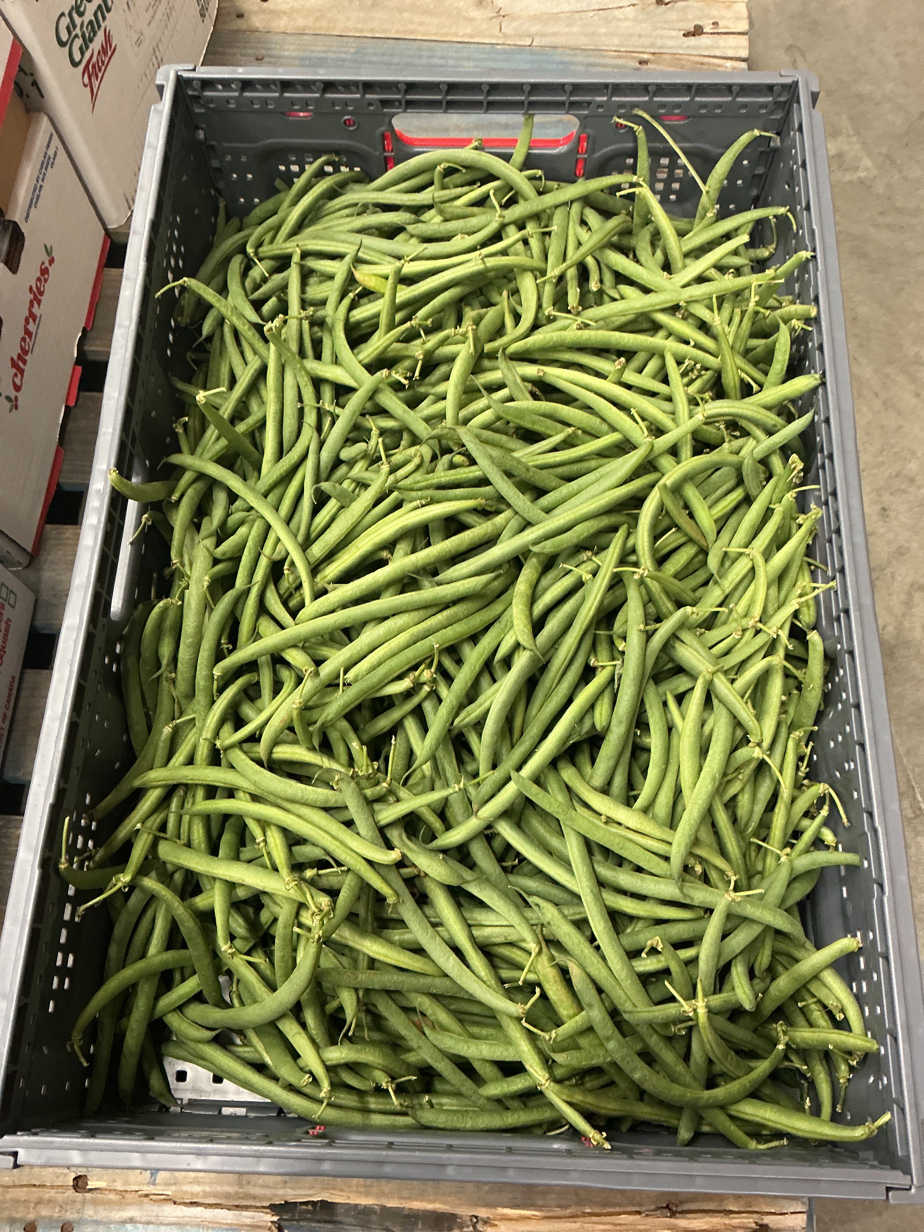 Green Beans - Local - 12.5lb rpc