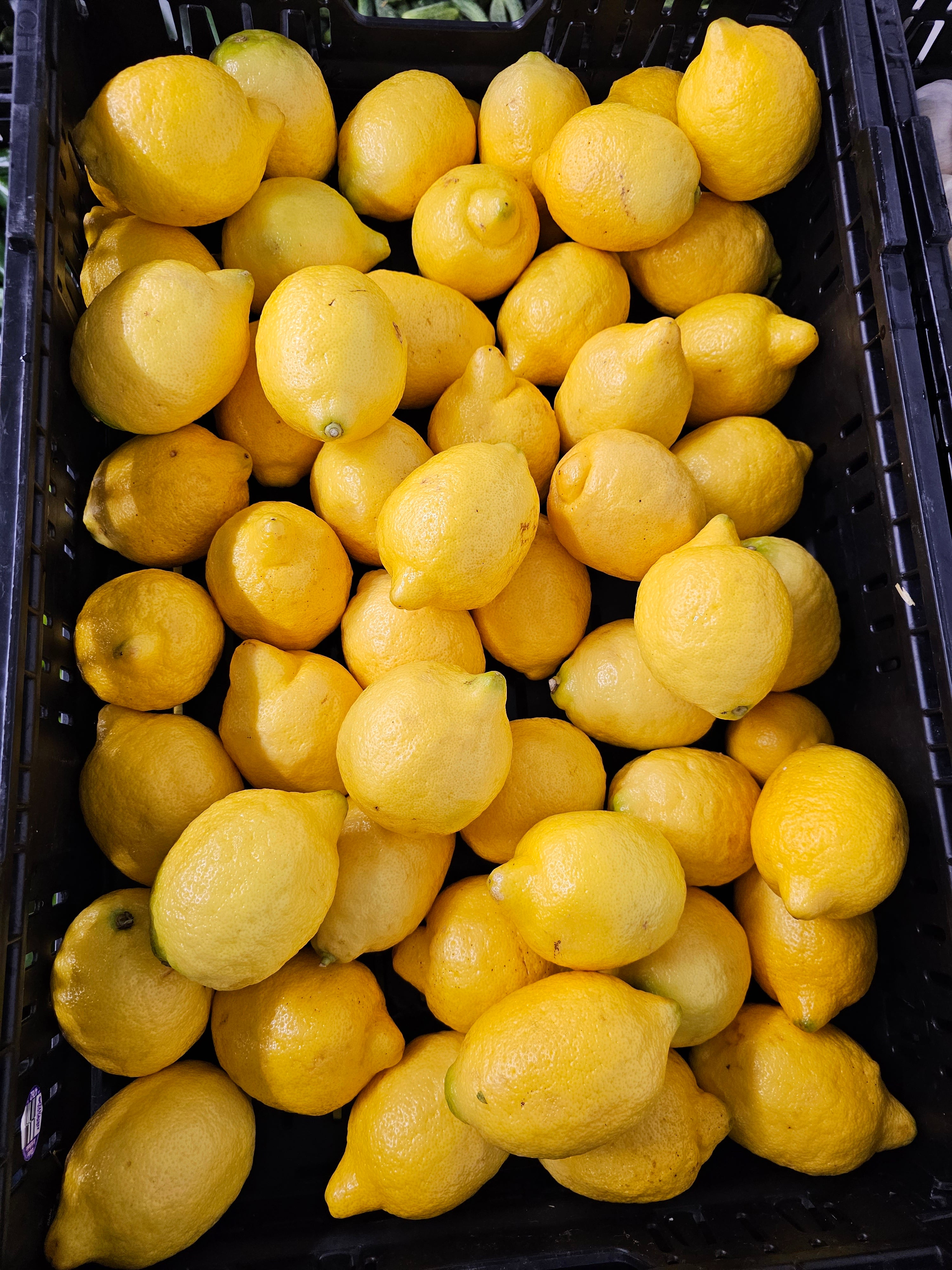 Lemons - 20lb rpc