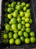 Limes - 20lb rpc