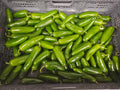 Peppers, Jalapenos - Local - 10lb rpc