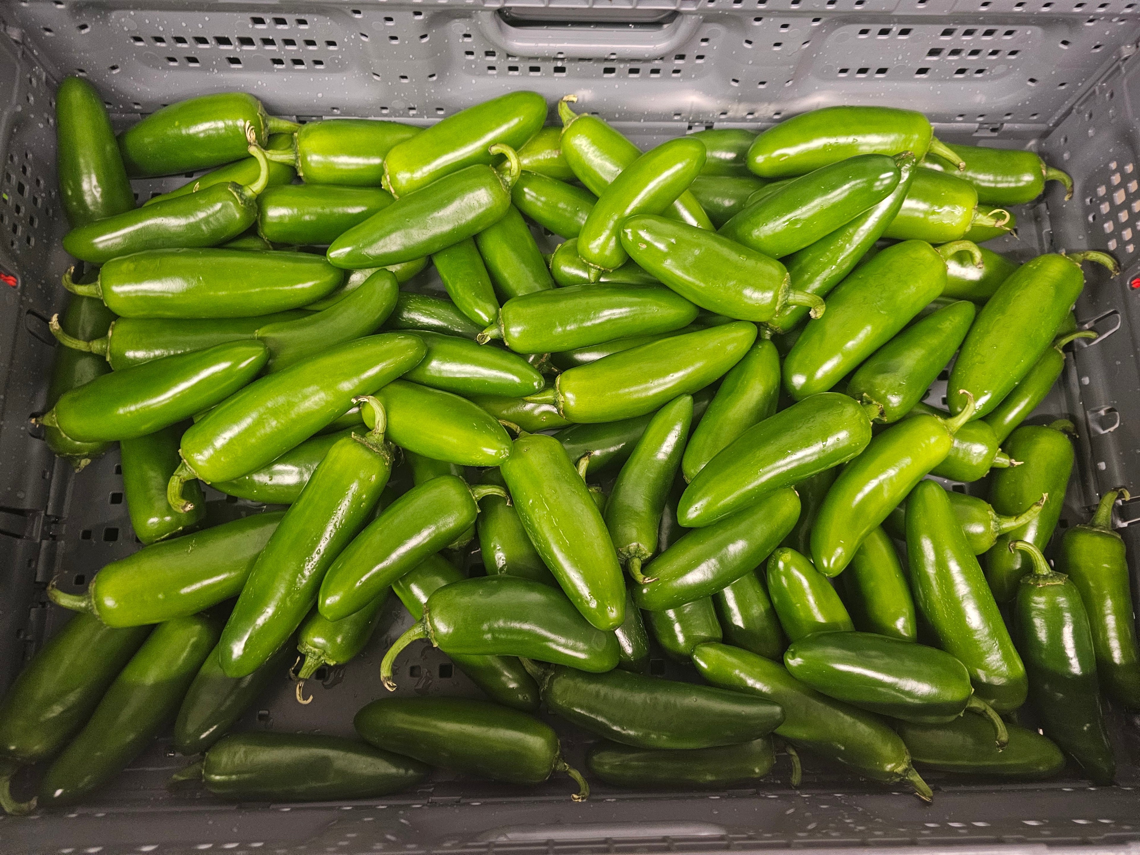 Peppers, Jalapenos - Local - 10lb rpc