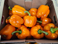 Peppers, Orange Bells - 11lb box