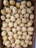 Potatoes, Gold 'B' Sized - 50lb box