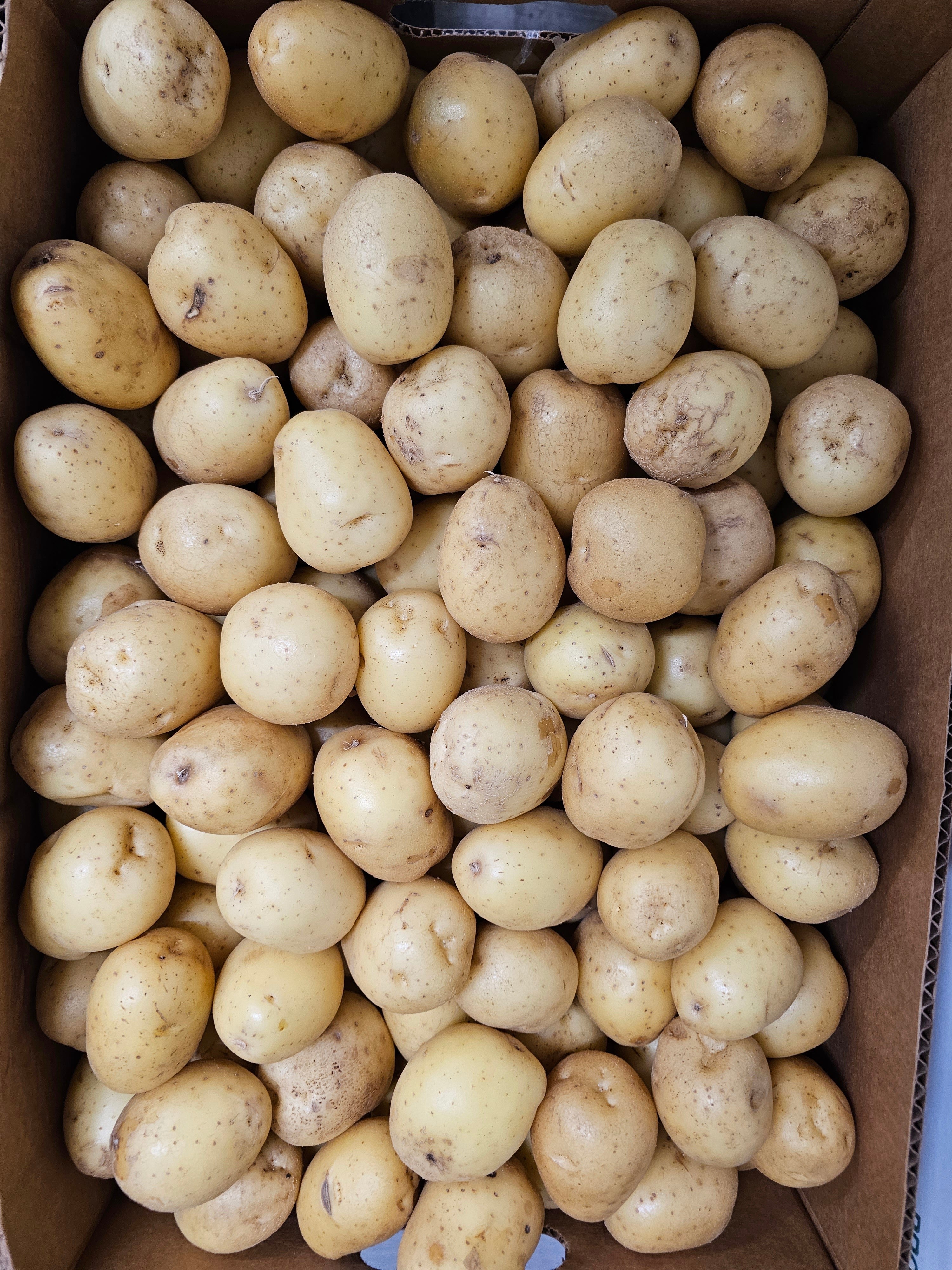 Potatoes, Gold 'B' Sized - 50lb box