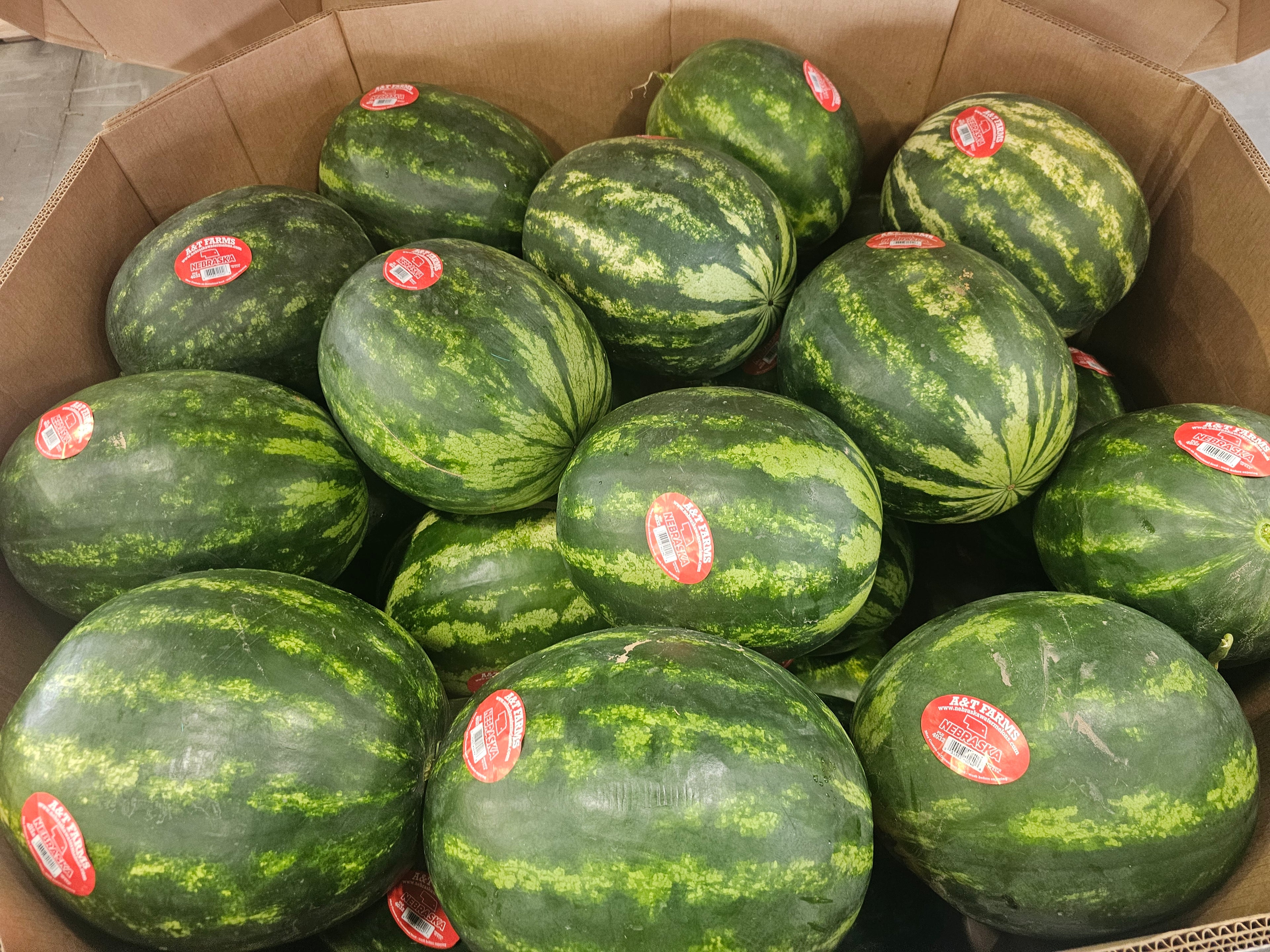 Watermelon, Green Stripe Seedless- 36 ct, Homegrown - Bin