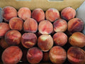 Peaches, White Colorado - 20 lb box