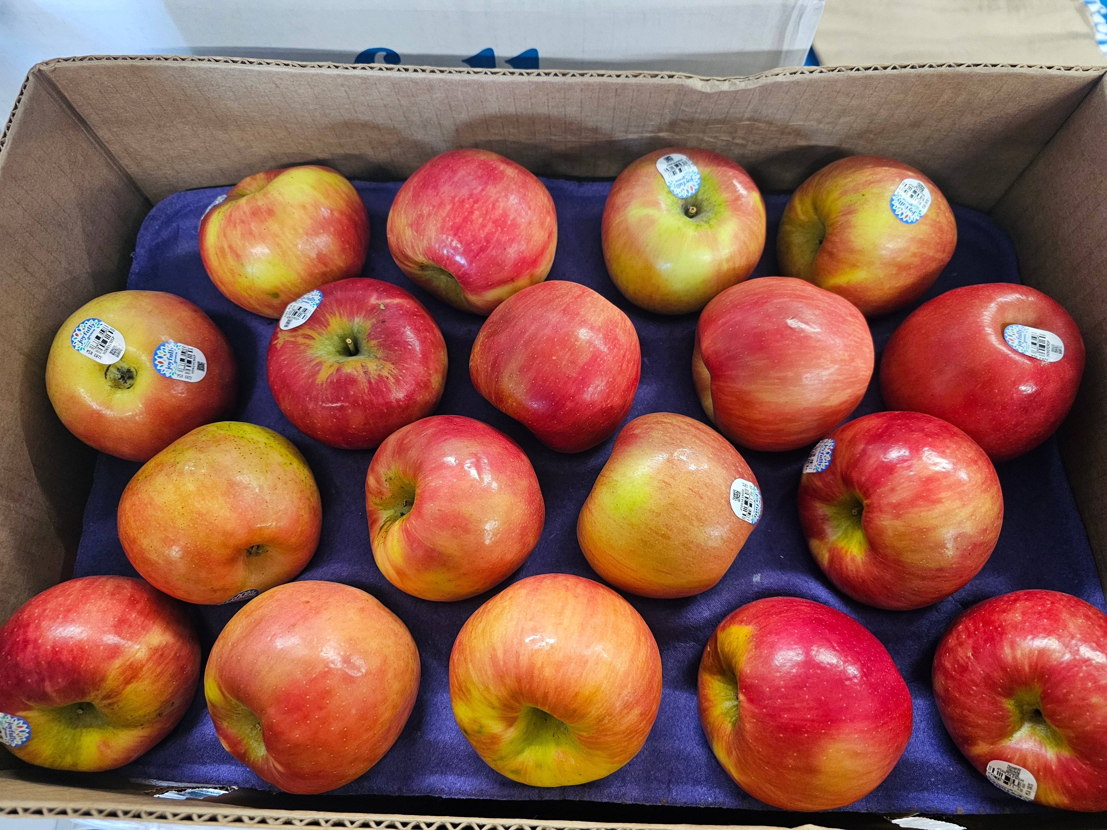 Apple - Honeycrisp - 56ct - Box