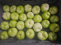 Tomatoes - Green - Homegrown - 18lb rpc
