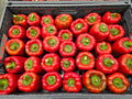 Peppers, Red Bells - Homegrown - rpc