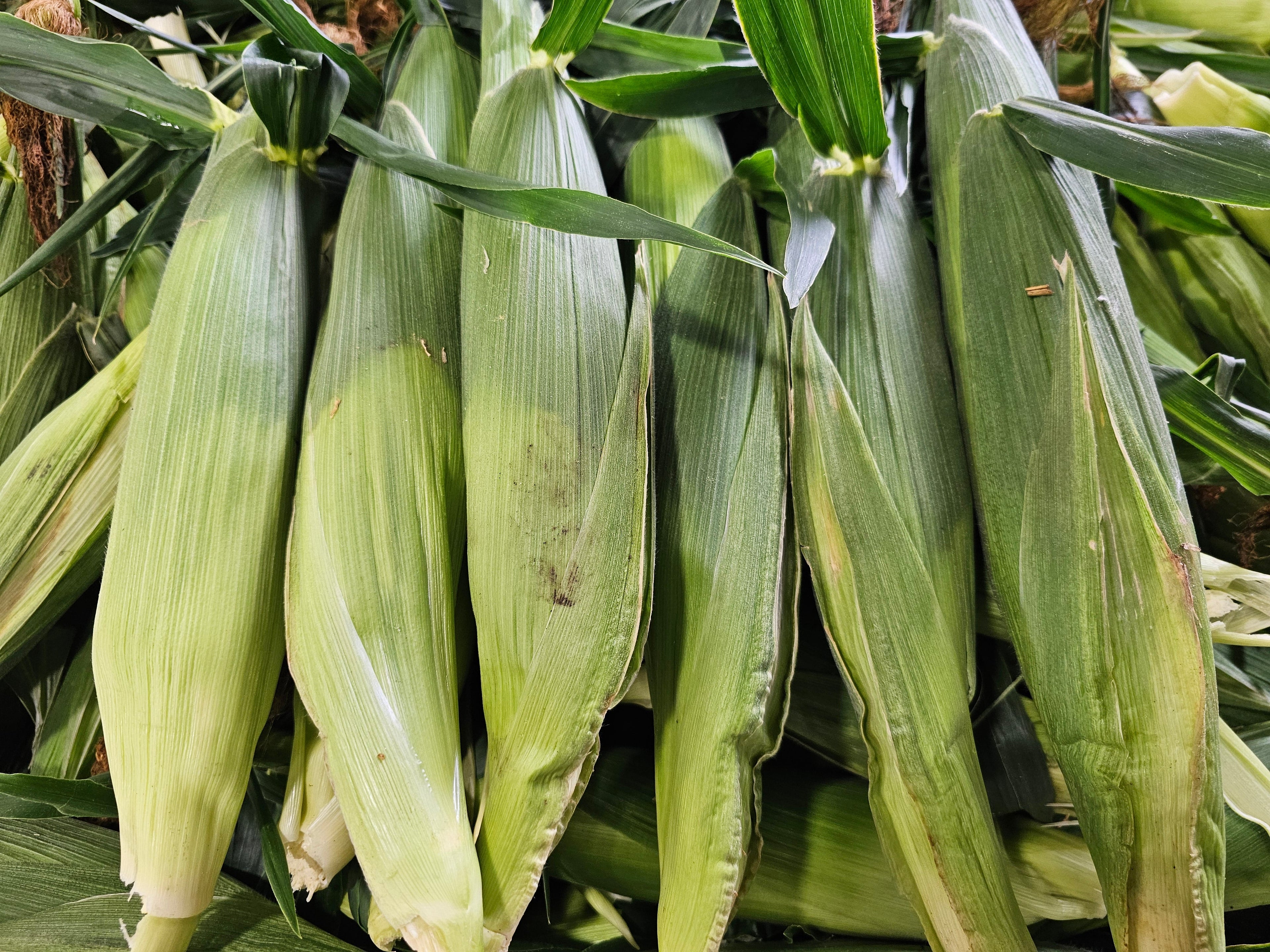Sweet Corn, Per Dozen - Homegrown