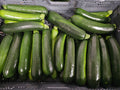Green Zucchini Squash - Homegrown - 20lb rpc