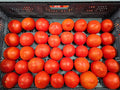 Tomatoes - #2 - Homegrown - 15lb rpc