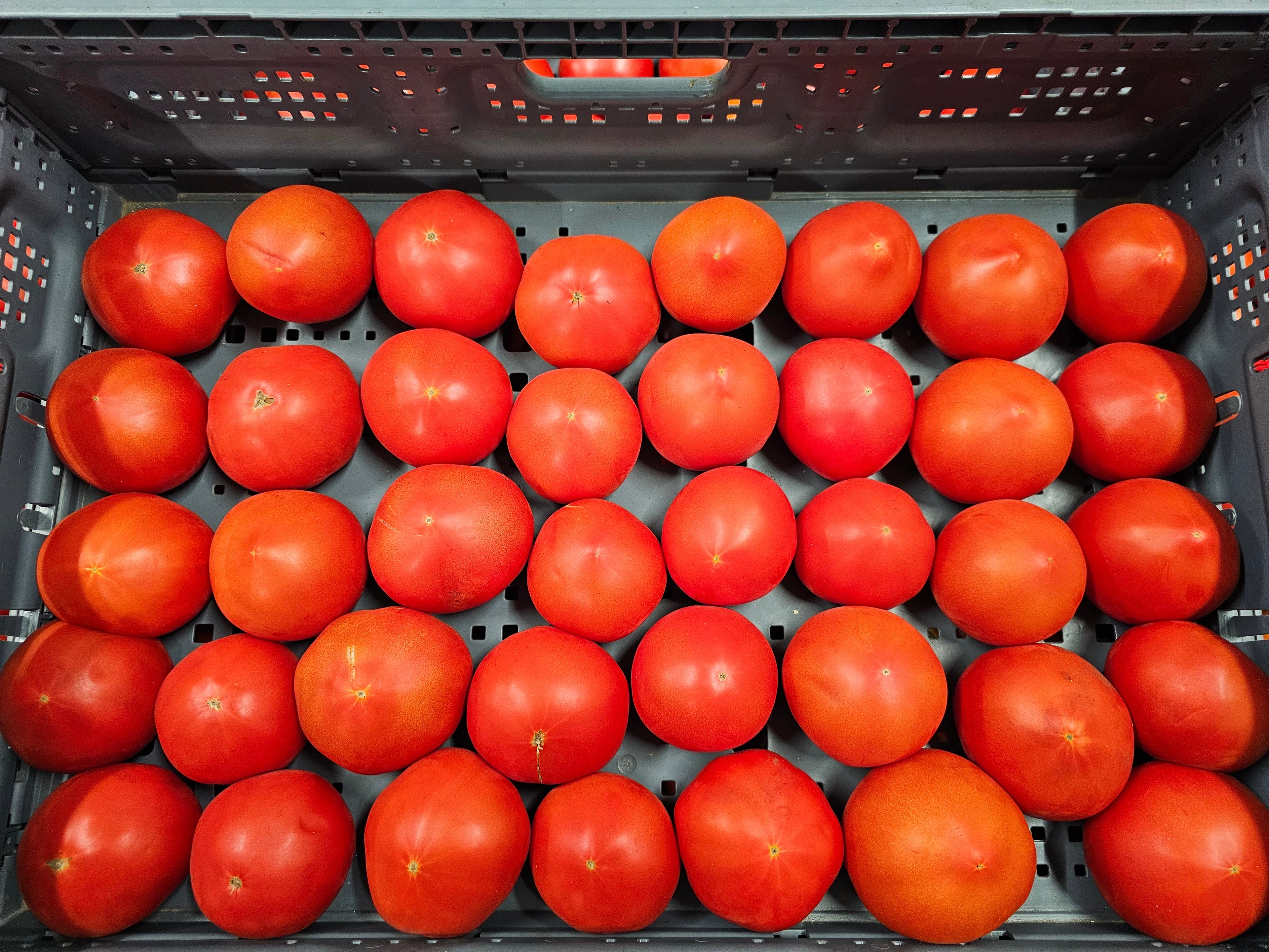 Tomatoes - #2 - Homegrown - 15lb rpc