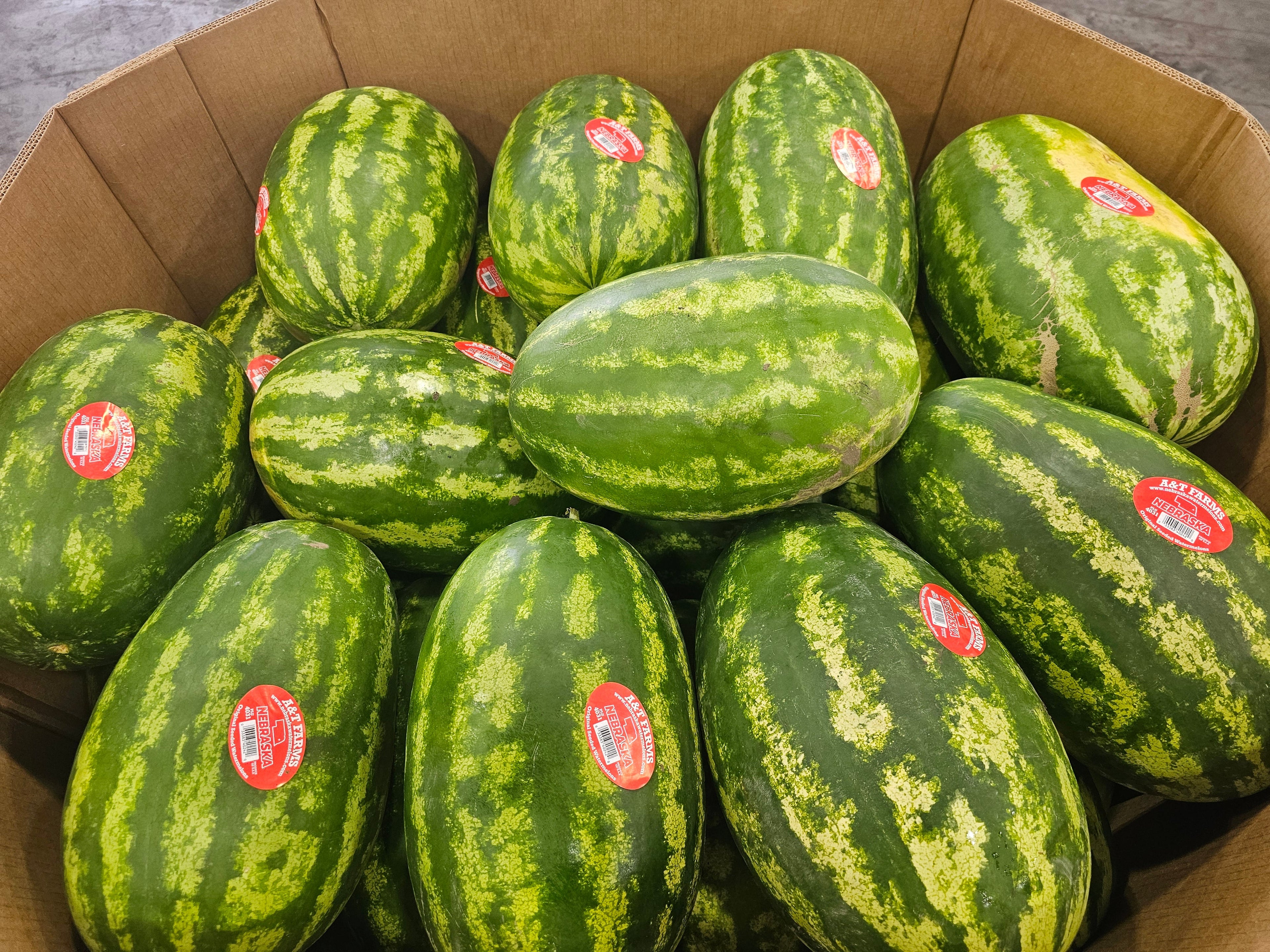 Watermelon, Seeded- 35 ct, Homegrown - Bin