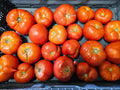 Tomatoes - Canners - Homegrown - 18lb rpc