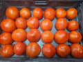 Tomatoes - #1 Red - Homegrown - 18lbs rpc