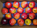Apple - Sugarbee - 72ct - Box