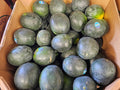 Watermelon, Black Seedless - 60ct, Homegrown - Bin