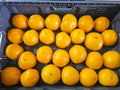 Tomatoes - Yellow - Homegrown -18lb rpc